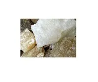 Apakah produk magnesium bermanfaat untuk kesehatan gigi?